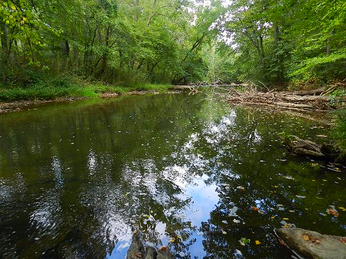 Charles Owens Park, Swannanoa, NC